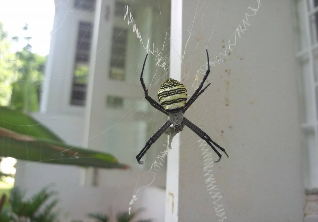 HTC-One-M9_camera-review_close-up.jpg
