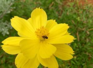 MEIZU-m2-note_camera-performance_close-up.jpg?tr=q-70