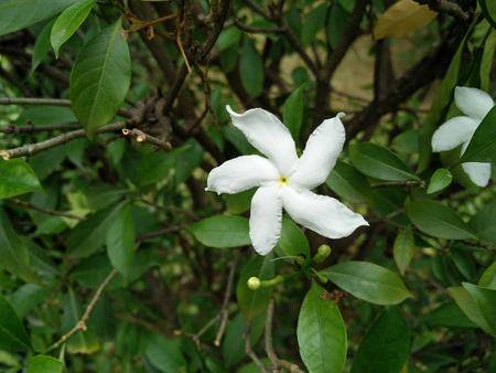 OnePlus-2-camera-sample2