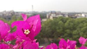IMG_20151027_110351