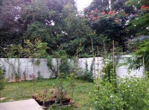 Meizu-m2_camera-review_HDR-off.jpg?tr=q-70