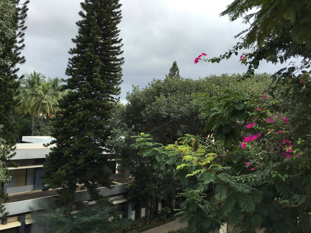 iPhone-6s-Plus_camera-test_HDR-off.jpg?tr=q-70