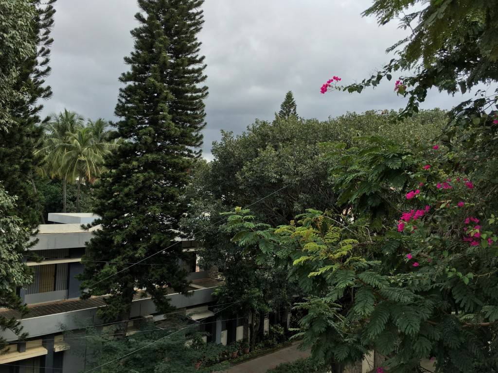 iPhone-6s-Plus_image-sample_HDR-on.jpg?tr=q-70