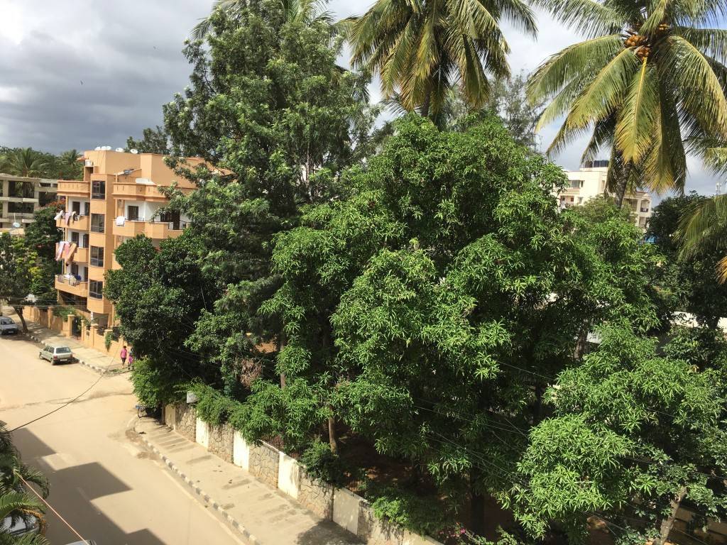 iPhone-6s-Plus_image-sample_long-shot.jpg?tr=q-70