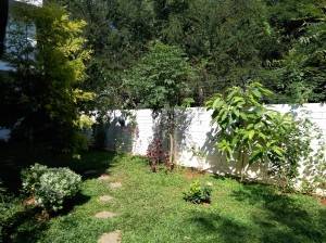 Lenovo-Vibe-P1_camera-review_HDR-off.jpg?tr=q-70