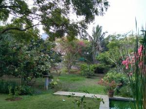 Honor-5X_camera-performance_HDR-on.jpg?tr=q-70