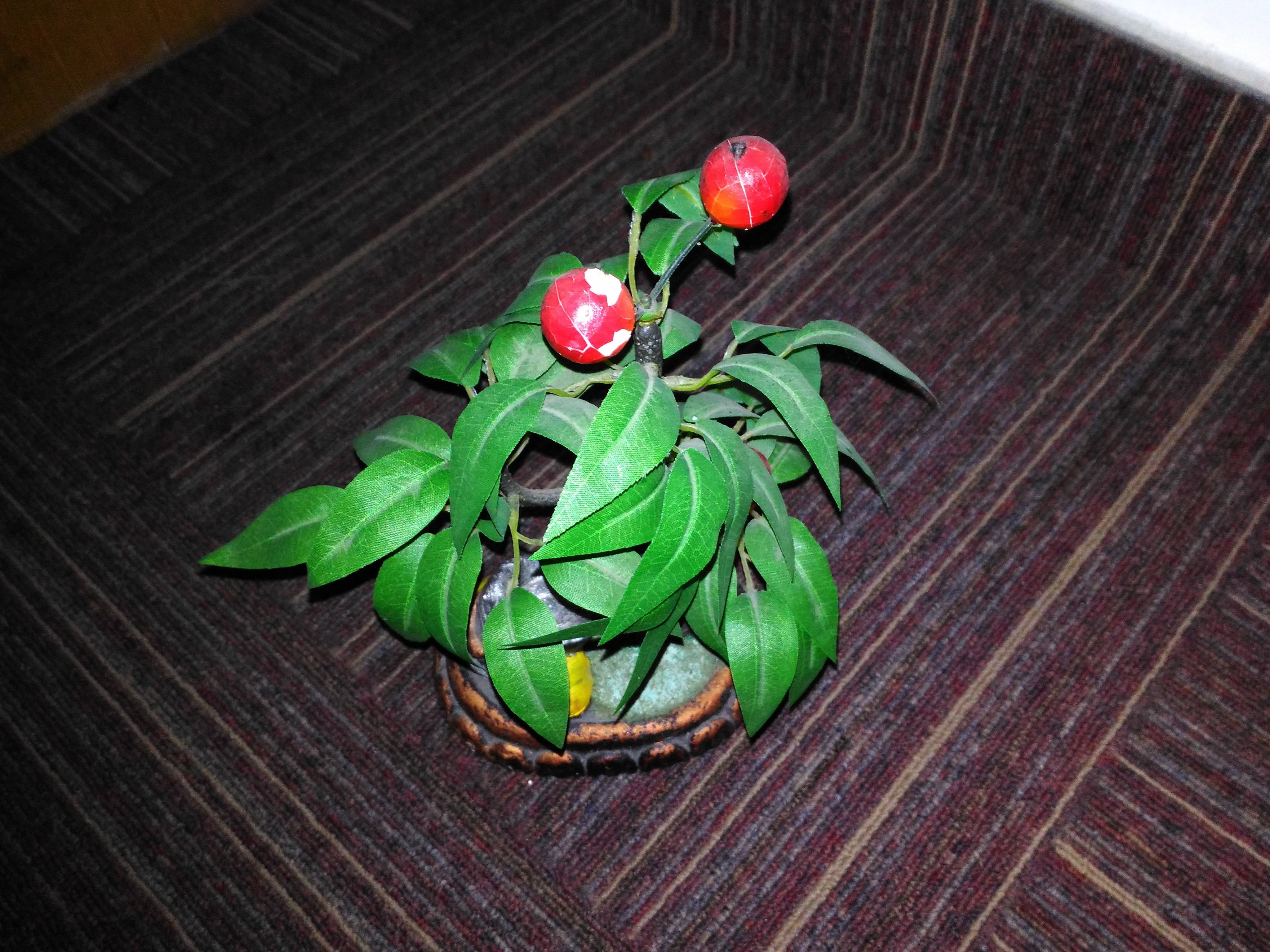 ASUS-ZenFone-Max-camera-sample5