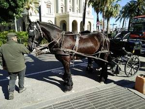 OPPO-F1-camera-sample3