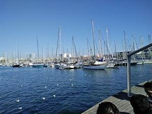 OPPO-F1-camera-sample5