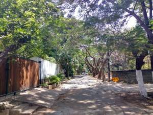 Xiaomi-Redmi-Note-3_camera-sample_HDR-on.jpg?tr=q-70