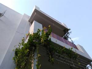 Lenovo-Vibe-K5-Plus_camera-performance_landscape.jpg?tr=q-70
