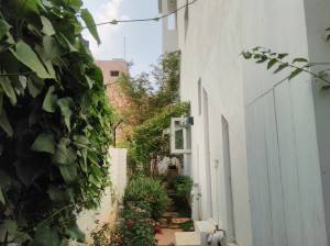 Lenovo-Vibe-K5-Plus_camera-sample_HDR-on.jpg?tr=q-70