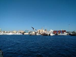 Motorola Moto X Force camera samples (2)