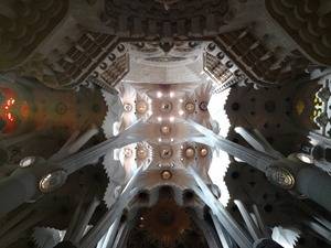 Motorola Moto X Force camera samples (3)