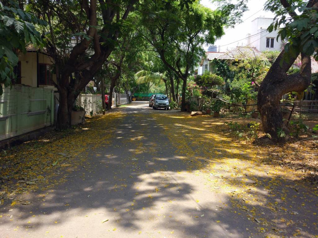 Xiaomi-Mi-5_camera-review_HDR-off.jpg?tr=q-70