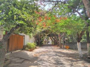 Lenovo-ZUK-Z1_image-sample_HDR-on.jpg?tr=q-70