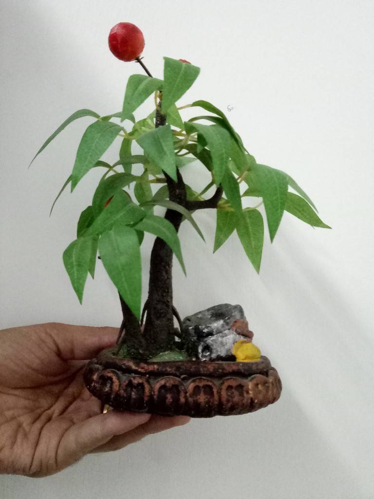 YU Yunicorn_image sample_front camera