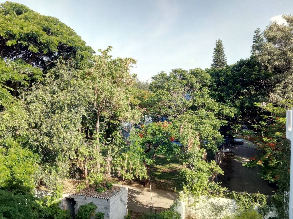 Yu-Yunicorn_camera-test_long-shot.jpg?tr=q-70