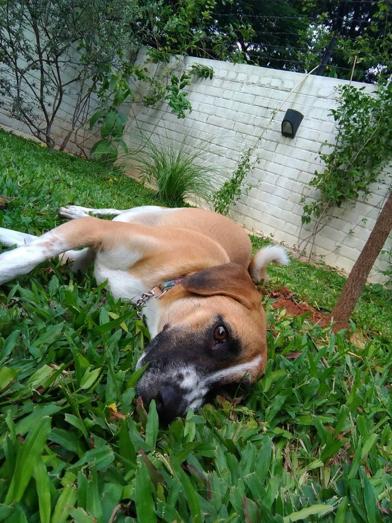 ASUS ZenFone 3_camera test_front camera