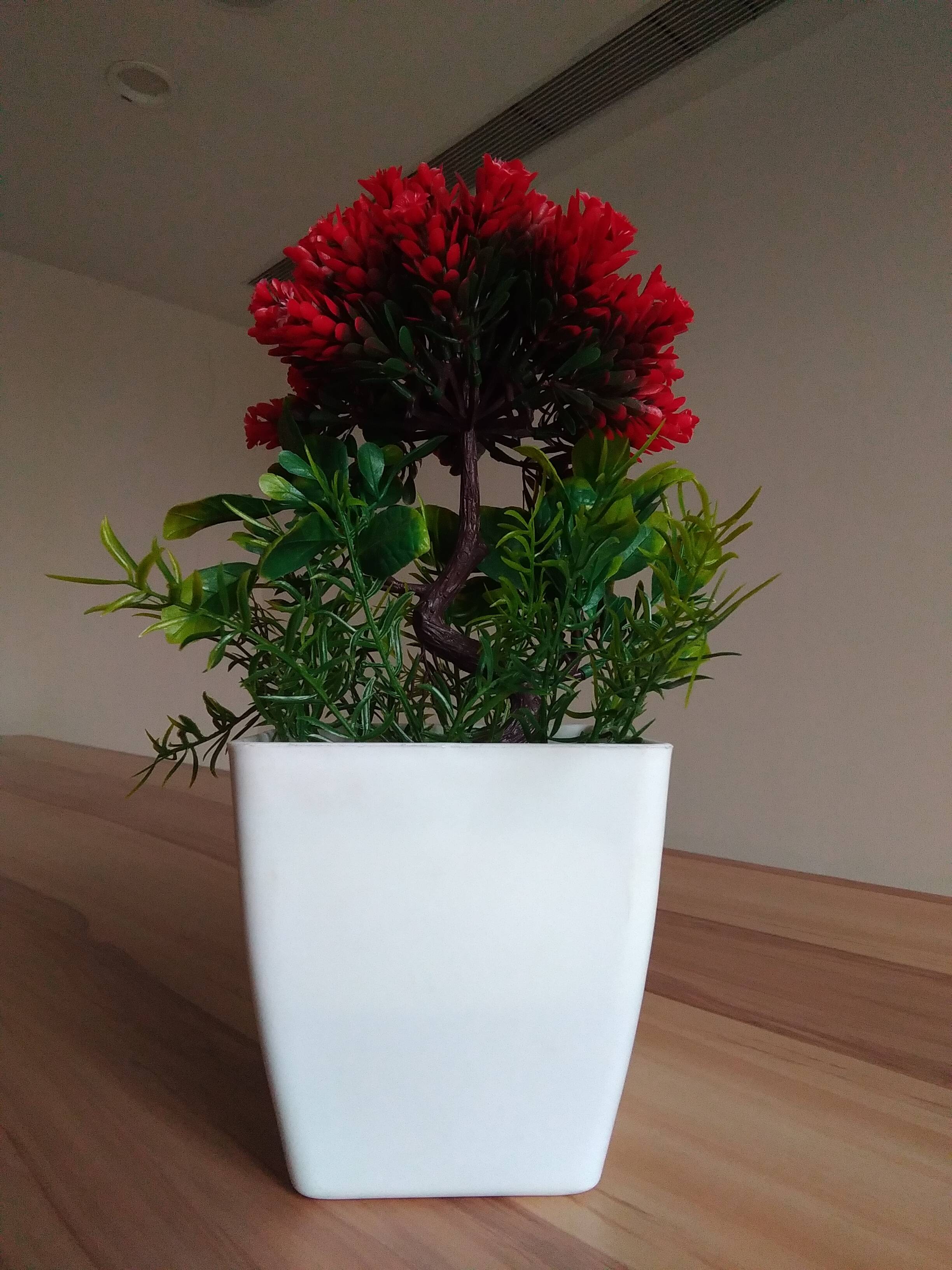 asus-zenfone-3-camera-sample-4