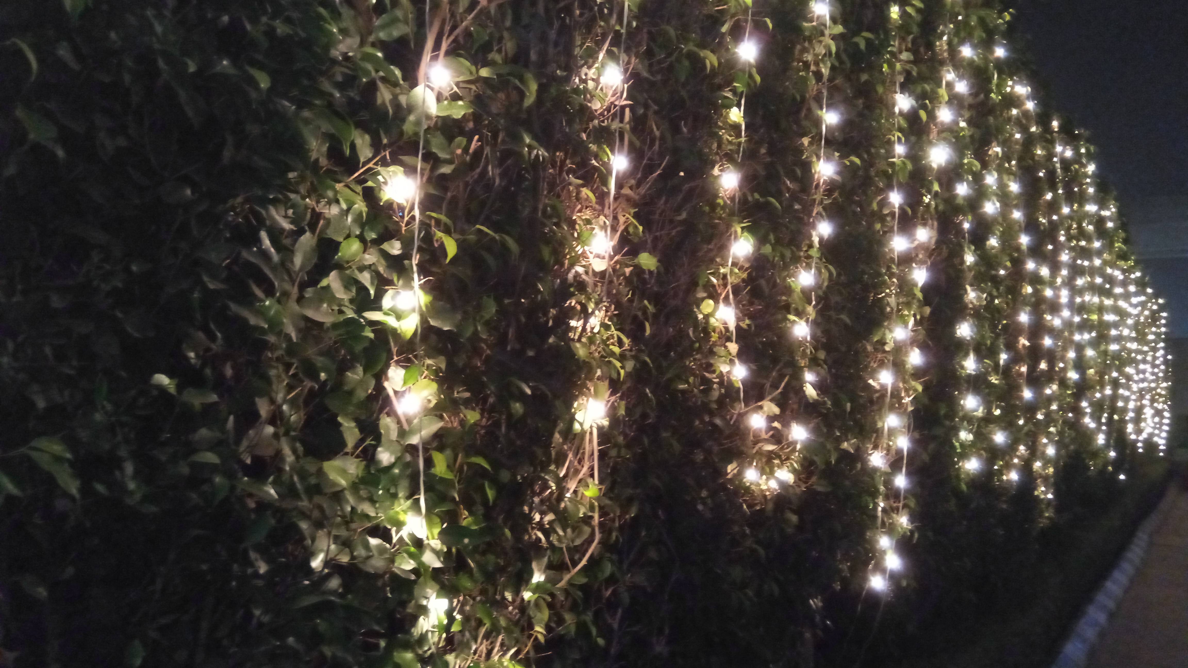 asus-zenfone-3-camera-sample-9