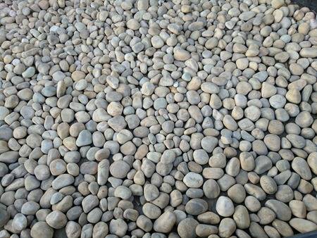 Google-Pixel-XL-camera-sample3