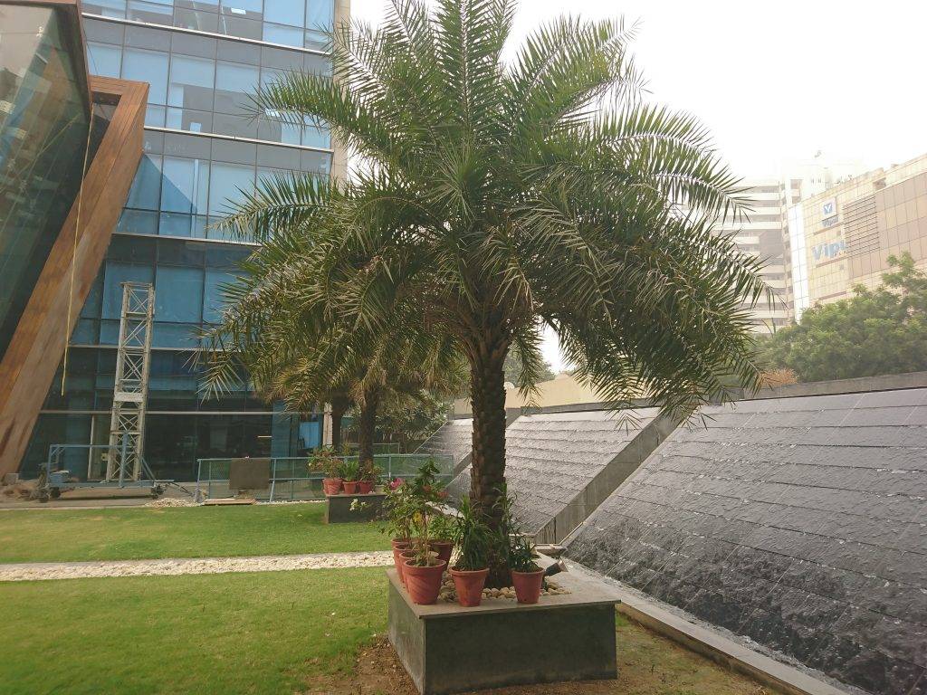 sony_xperia_xz_camera_sample_6