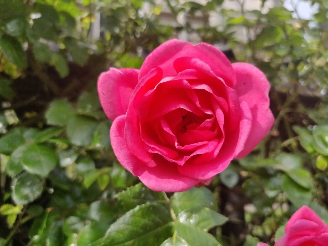 OnePlus 6 camera review 20