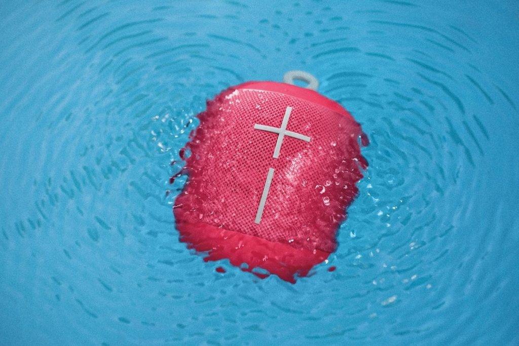 raspberry wonderboom