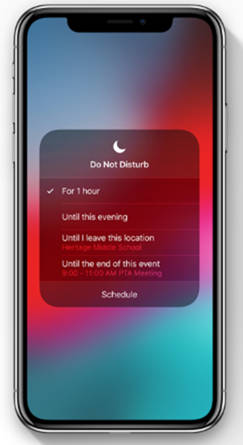Do Not Disturb iOS 12