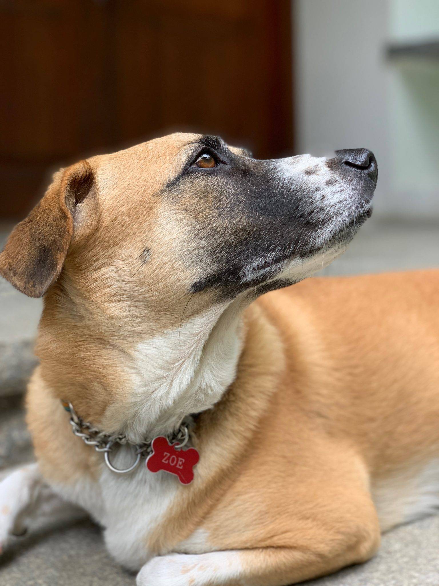 iPhone XS camera sample_1