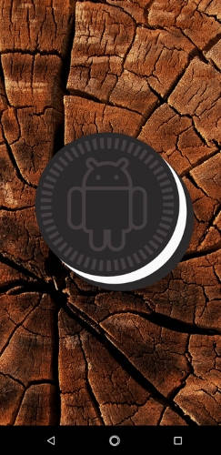 nokia_3.1_plus_software2