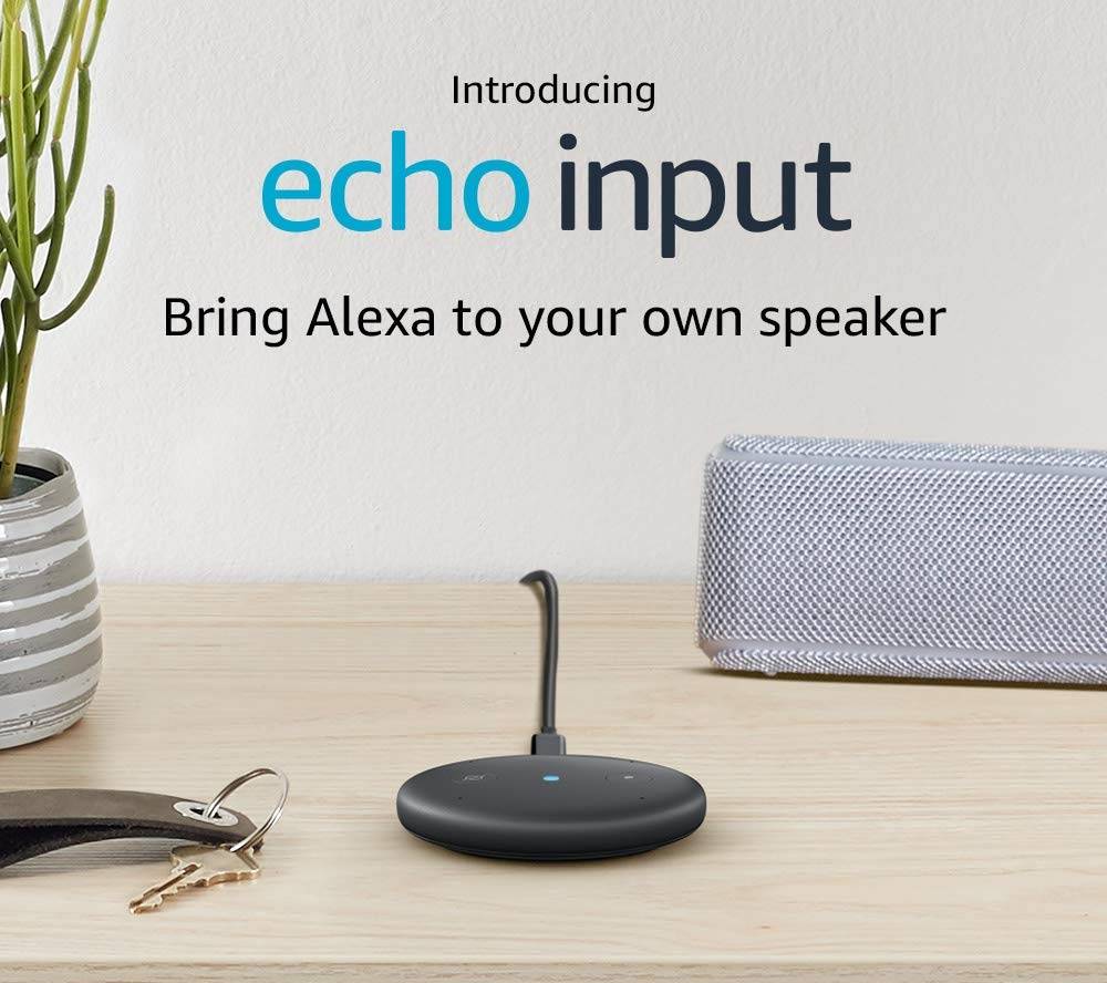 echo input