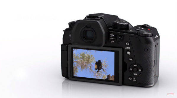 Panasonic FZ-1000 II 1 - in text
