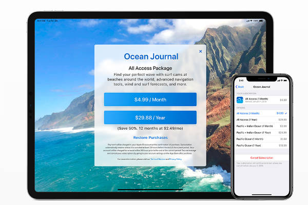 Apple Developer guidelines