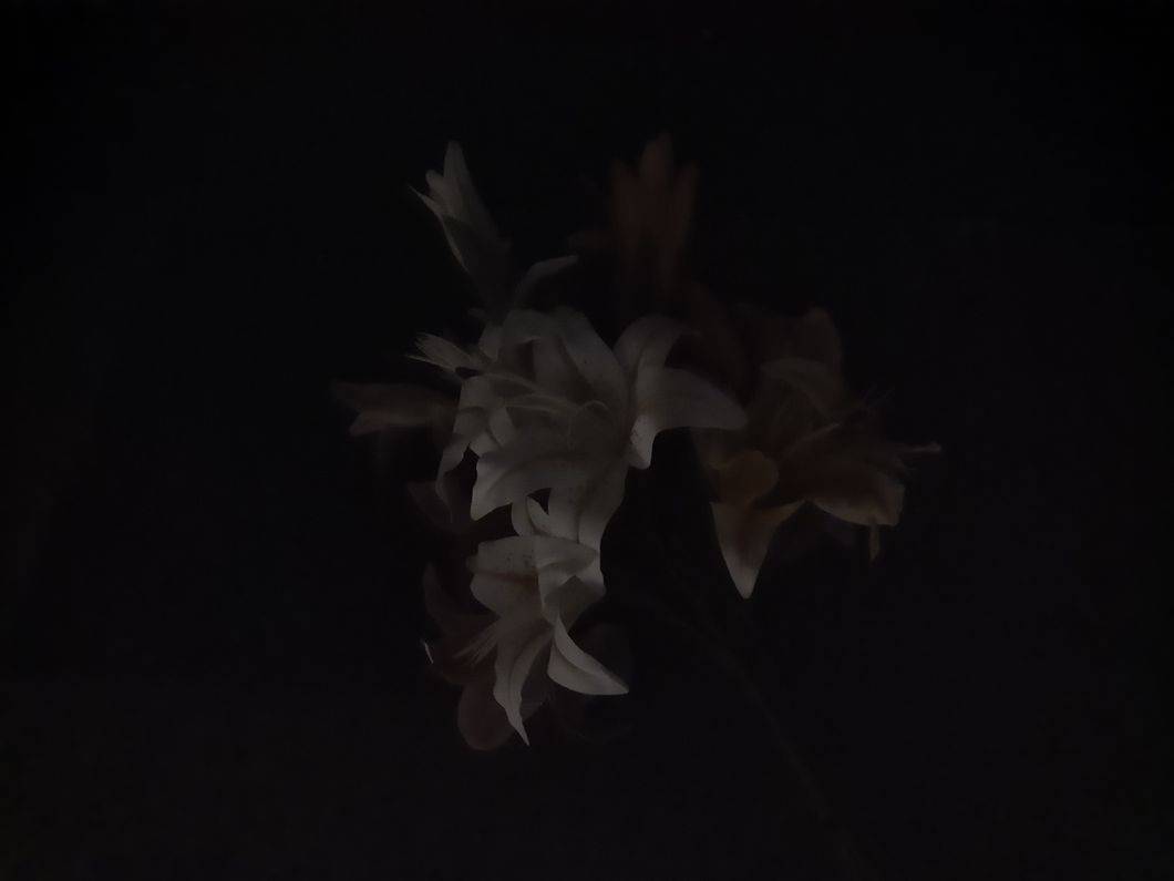 Before image