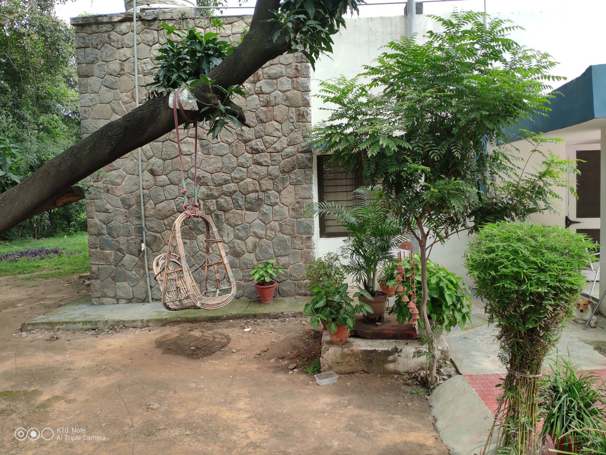 Before image