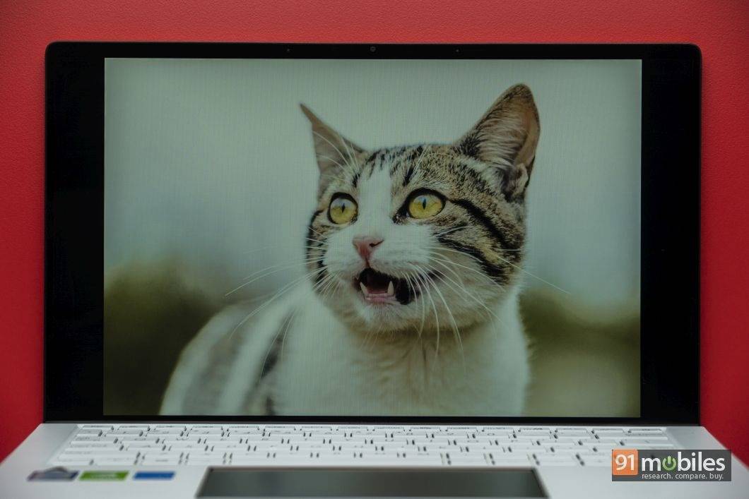 ASUS ZenBook Edition 30 UX334 review - 91mobiles 17