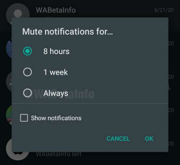 WhatsApp mute notifications