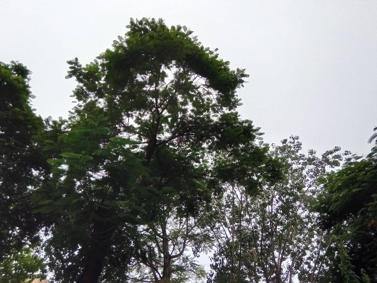 Before image