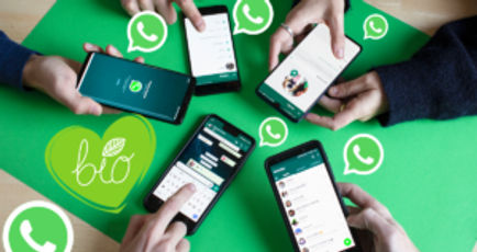 250+ WhatsApp bio for boys and girls in 2024: best and stylish WhatsApp about line ideas