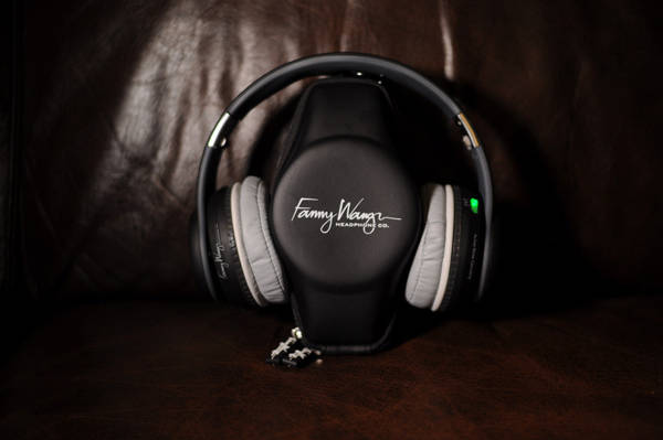 Fanny Wang 3000 Series Review