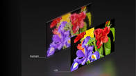 Sony RGB TV (1)