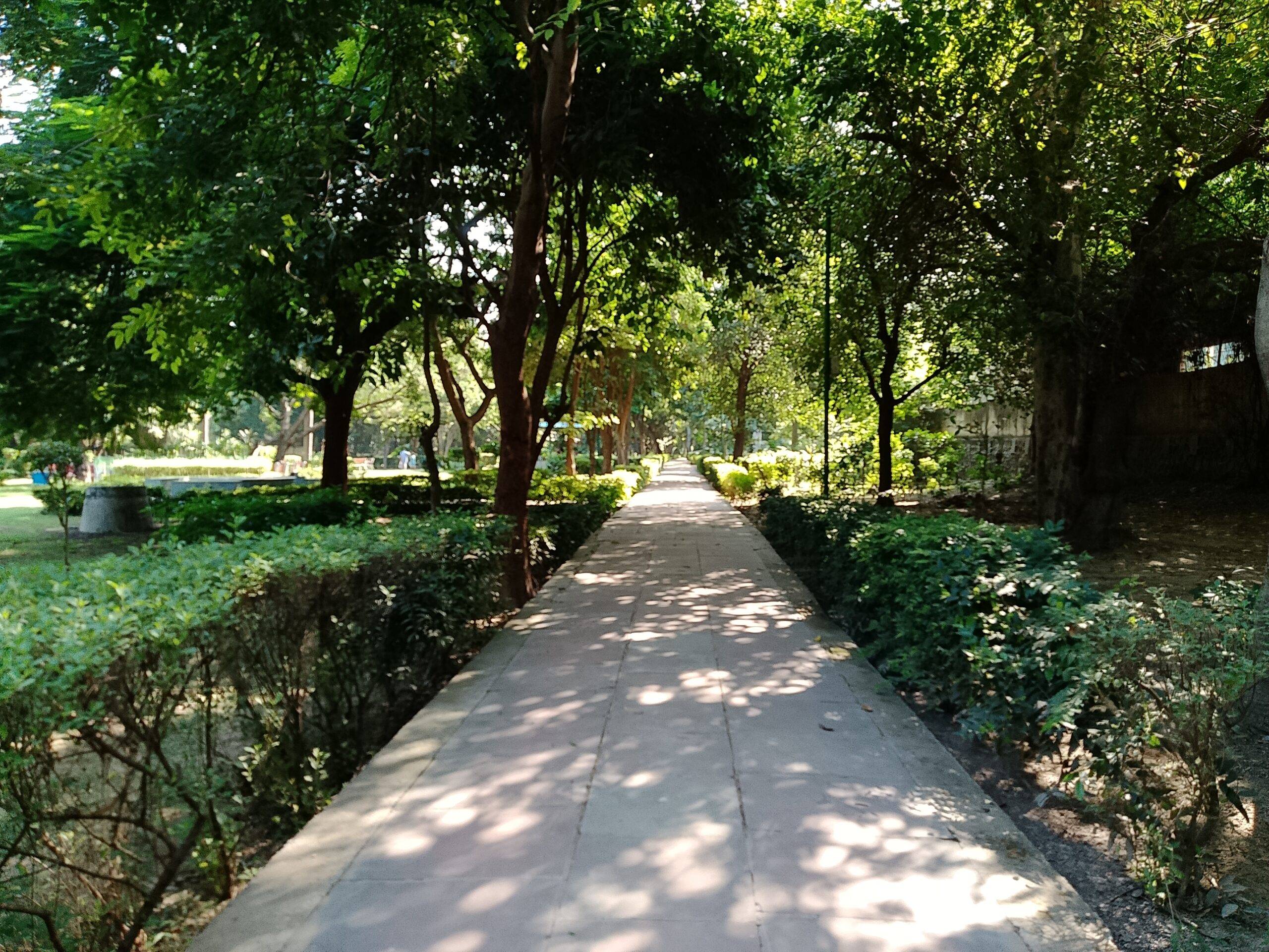 Lava Bold N1 5G camera sample