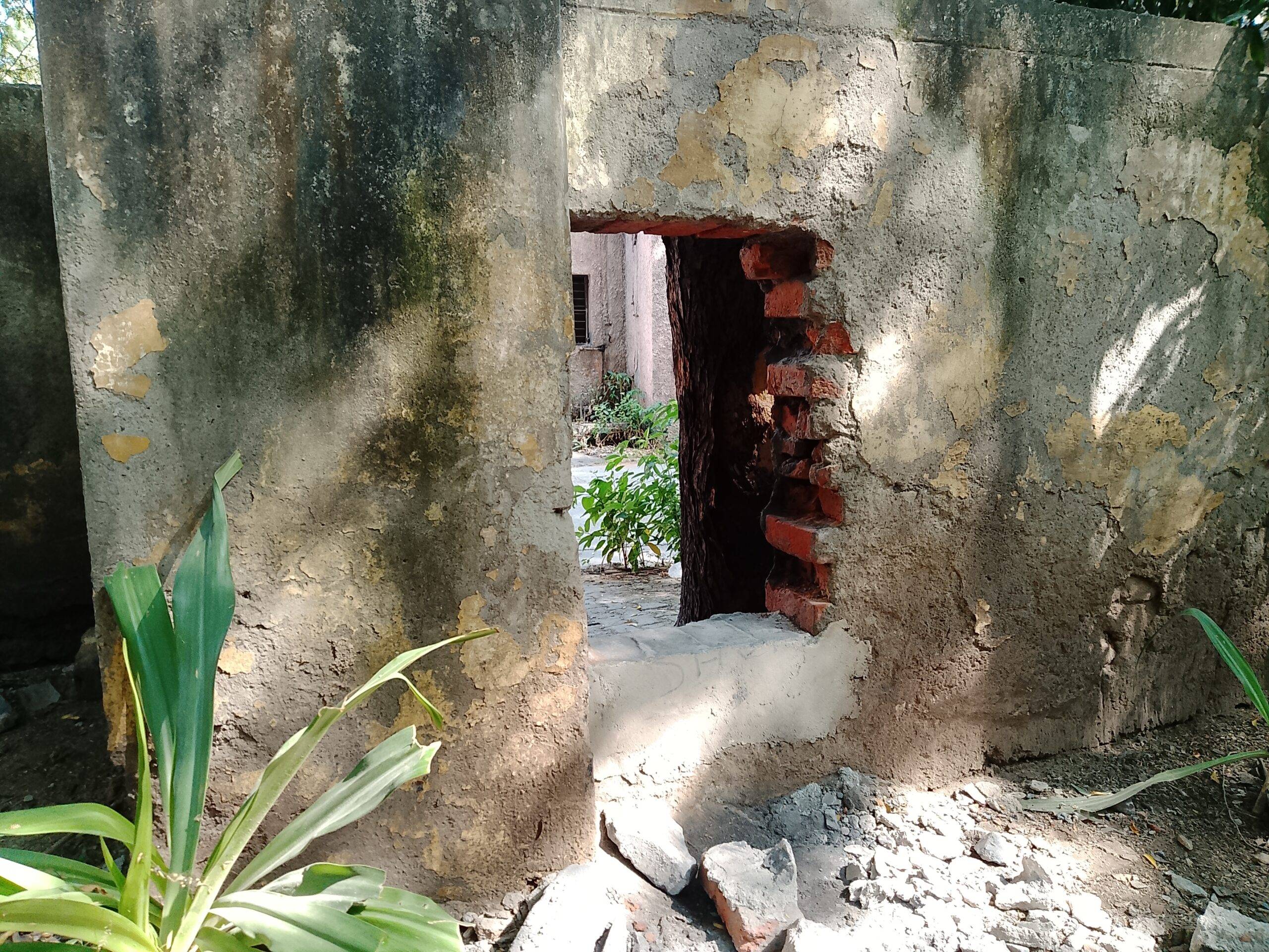 Lava Bold N1 5G camera sample