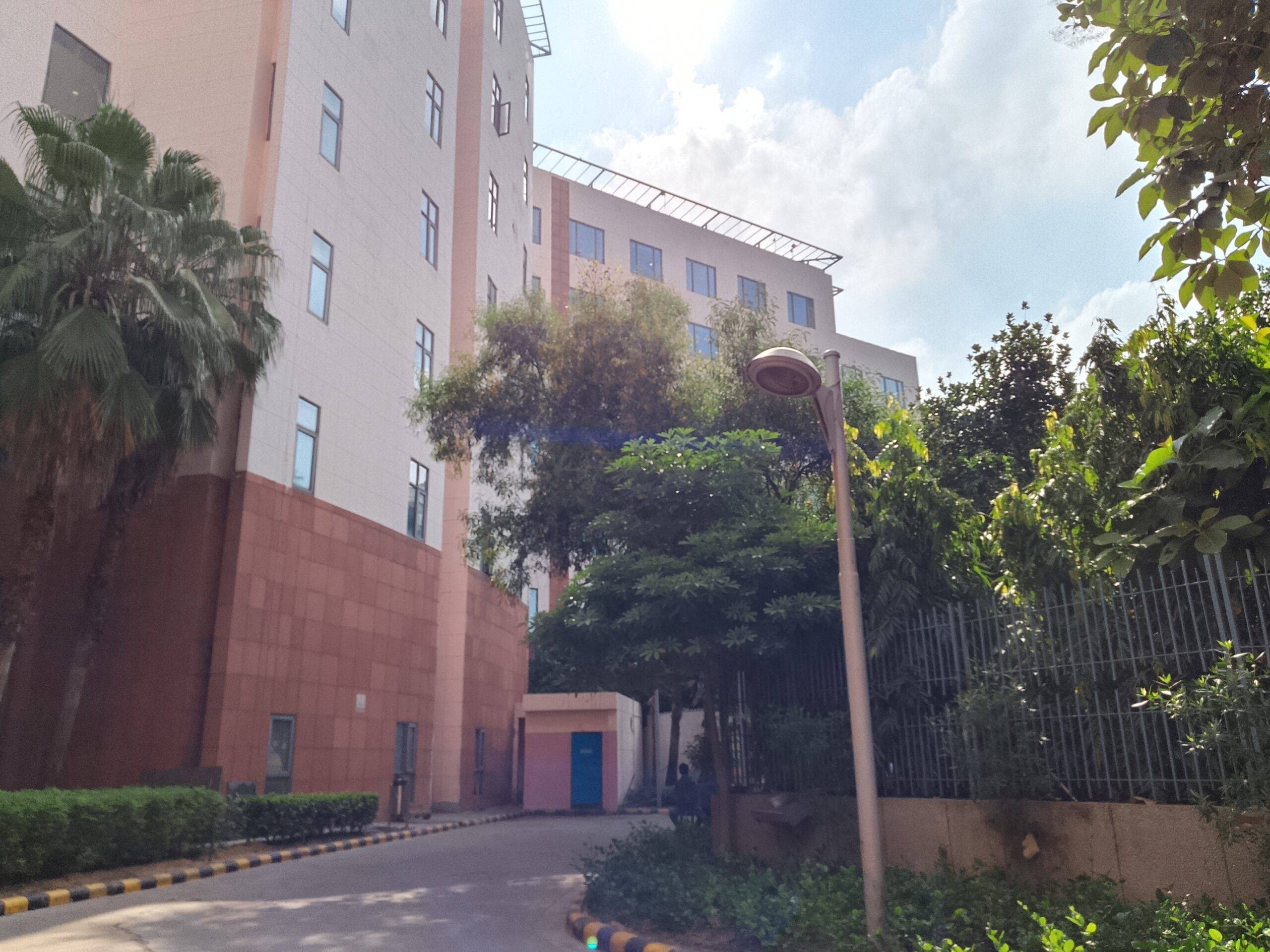 Lava Bold N1 5G camera sample