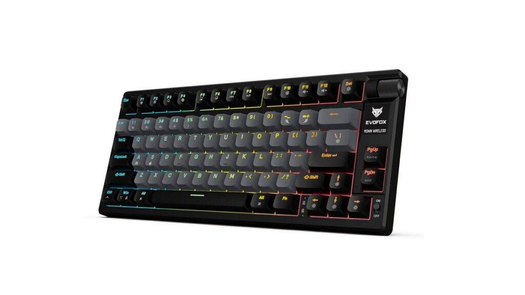 best mechanical keyboards under rs 5,000 in india:... Best Mechanical Keyboards Under Rs 5,000 in India: March 2026 ...