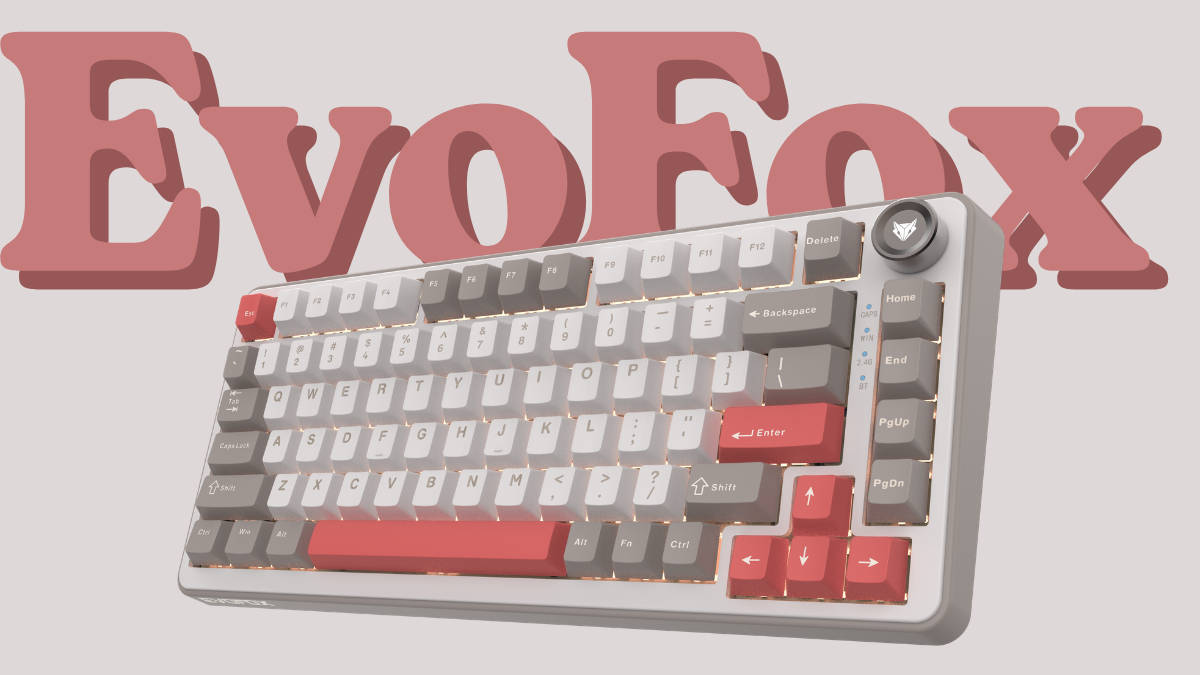 EvoFox launches Ronin X75 Mechanical Keyboard at Rs 4,999 with gasket mount, tri-mode connectivity, and cross-platform support