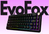 EvoFox launches Ronin HS65 Hall Effect keyboard at Rs 3,999