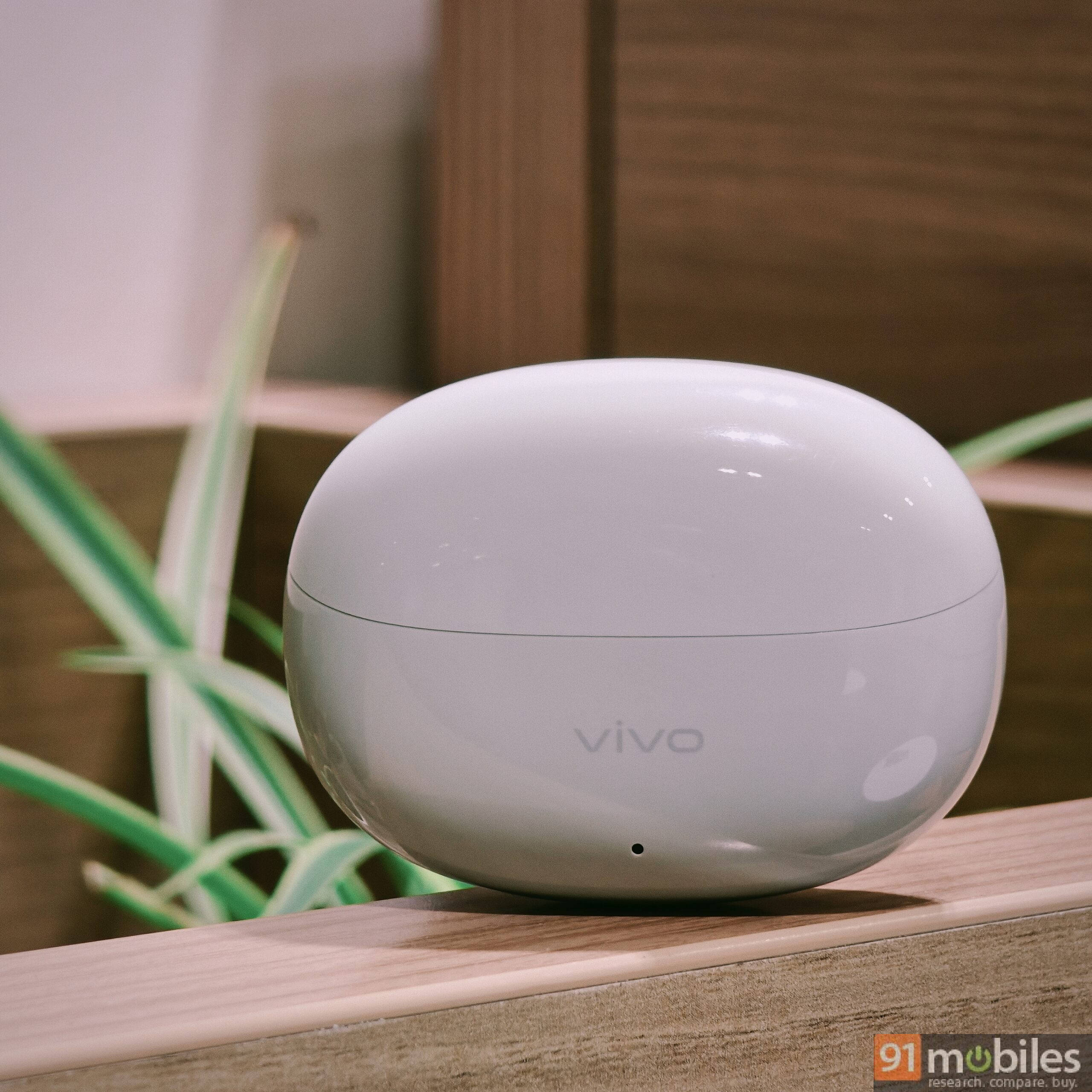 Vivo Buds design